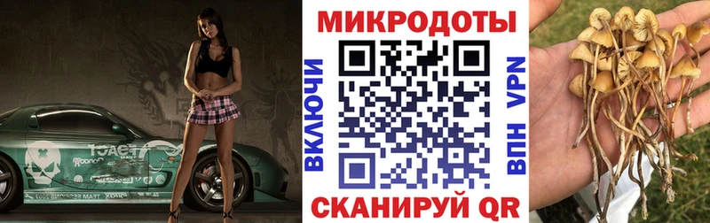 Галлюциногенные грибы GOLDEN TEACHER  магазин продажи   blacksprut вход  Невельск 